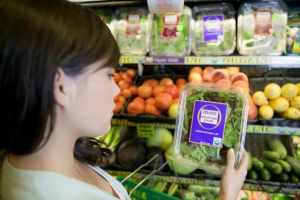 Trans-Tasman accord on food health claims